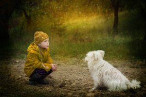 A child at eye level with a dog