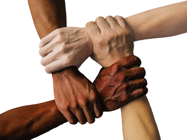 Read more about the article Peace