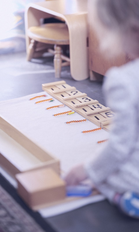 A young child develops fluency with numbers